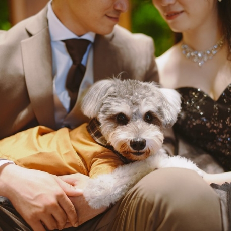 THE FOREST TERRACE KITAKYUSHU （ザ・フォレストテラス北九州）：【ペット婚相談会♪】全館貸し切り贅沢見学会！豪華試食付き