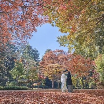 The 迎賓館 偕楽園 別邸のフェア画像