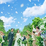 ザ・リバーサイドテラス広島ツリーズスクエアのフェア画像