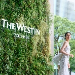 ウェスティンホテル横浜のフェア画像