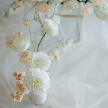 ＭＡＲＩＮＥ ＴＯＷＥＲ ＷＥＤＤＩＮＧのフェア画像