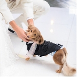 長良川清流ホテルのブライダルフェア画像