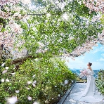 Hilltop Resort YAMANOUE（ヒルトップリゾート 福岡内）のフェア画像