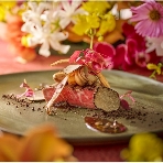 Hilltop Resort YAMANOUE(ヒルトップリゾート 福岡内)のフェア画像