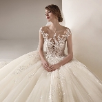 The Library by STRINGSのフェア画像