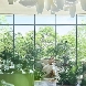 The Library by STRINGSのフェア画像