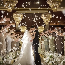 The Library by STRINGSのフェア画像