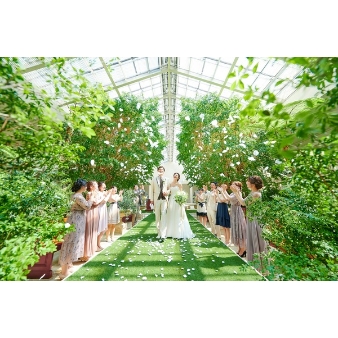 コリドールコートのフェア画像