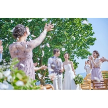 コリドールコートのフェア画像