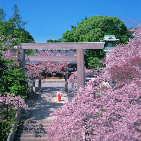 伊勢山皇大神宮　ｂｙ　伊勢山ヒルズ：【神社挙式ならこちら】披露宴会場直結の皇大神宮見学*試食付