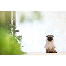 センティール・ラ・セゾン小林楼:【ゼクシィ花嫁割】愛犬と過ごす庭園貸切ウェディングプラン