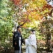 センティール・ラ・セゾン小林楼：【フォトW】1000坪庭園ロケ×和モダン邸宅◆写真映え見学会
