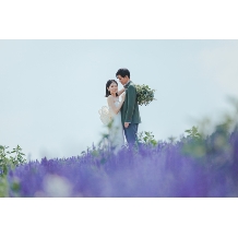 アートホテル旭川:【6月下旬～7月中旬撮影＆先着3組様限定！】北海道ロケーションフォトプラン／1泊2食付