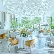 ザ ジャクソン ガーデン(THE JACKSON GARDEN)のフェア画像
