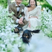 ザ ジャクソン ガーデン（THE JACKSON GARDEN）：【ペット婚OK】全館貸切でゆったりと♪愛犬と楽しむWD