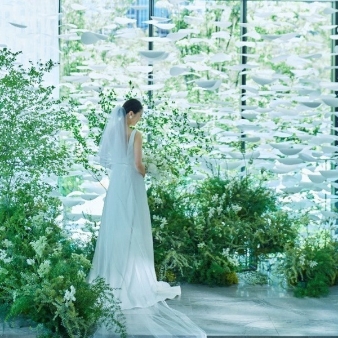 ザ ジャクソン ガーデン（THE JACKSON GARDEN）のフェア画像