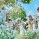 ザ ジャクソン ガーデン(THE JACKSON GARDEN)のフェア画像
