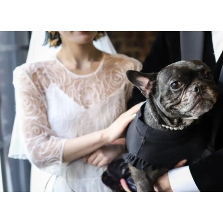 Ａｌｌｅｇｒｏ：【ペット婚・カジュアル婚】幅広い要望に対応♪無料試食相談会