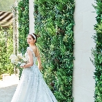 The　Green　Terrace　表参道（ザ　グリーン　テラス　オモテサンドウ）　by 青山 セントグレース大聖堂のフェア画像