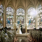 The Green Terrace 表参道のフェア画像