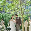 Ｔｈｅ　Ｇｒｅｅｎ　Ｔｅｒｒａｃｅ 表参道：【29名迄の少人数W検討の方◎】NEWオープン記念特典*絶品試食