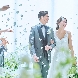 翠楓シーズンズテラスのフェア画像