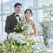 翠楓シーズンズテラスのフェア画像