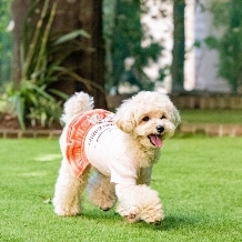 PET＆ME byアンウィットのフェア画像