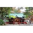 赤坂氷川神社／クチュールナオコ銀座店：【30分～OK！自宅で参加】オンライン相談会（見積・動画等）