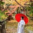 赤坂氷川神社／クチュールナオコ銀座店：【季節感じる緑豊かな鎮守の杜のロケフォト付】神社婚相談会