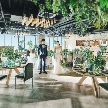 ａｍｐｅｒｓａｎｄ　Ｂｙ　ＬＡＧＵＮＡＶＥＩＬ　ＡＴＥＬＩＥＲ（アンパサンド　バイ　ラグナヴェール　アトリエ）：《初見学お勧め》全館見学ツアー×試食×1stステップ相談会