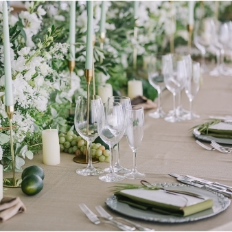 ＴＳＵＭＵＧＵ　ＨＯＵＳＥ　Ｆｏｒｅｓｔ　Ｗｅｄｄｉｎｇのフェア画像