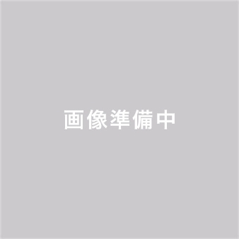 TSUMUGU HOUSE MIKAWA-ANJO(ツムグハウス三河安城)のフェア画像