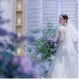 ＬＩＡＲＥ （リアーレ） 旧アネーリ長岡のブライダルフェア画像