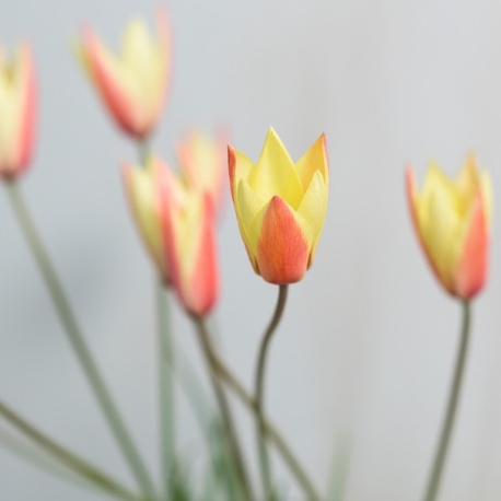 CRAZY GRANDE MAISON：気軽に参加して☆彡ウエディングの扉を開く60分！クイック相談