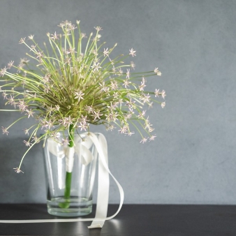 CRAZY GRANDE MAISONのフェア画像