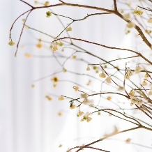 CRAZY GRANDE MAISON:【和婚◆40名＊挙式＆披露宴／1年半以内】美しい和装プラン40