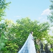ＡＭＡＮＤＡＮ ＰＥＡＫ（アマンダンピーク）：26年4月オープン＊60日で結婚式準備｜今からでも間に合うWフェア