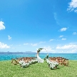 THE SURF BEACHSIDE TERRACE（ザ・サーフ ビーチサイドテラス）のフェア画像