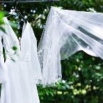 ルーデンスガーデン東京のフェア画像