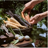 ルーデンスガーデン東京のブライダルフェア画像
