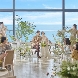 THE SURF SEASIDE TERRACE(ザ・サーフ シーサイドテラス)のフェア画像