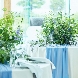 The Tokyo Bay Resort PLAISIR（ザ トウキョウ ベイ リゾート プレジール）のフェア画像