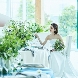 The Tokyo Bay Resort PLAISIR（ザ トウキョウ ベイ リゾート プレジール）のフェア画像