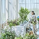 The Tokyo Bay Resort PLAISIR(ザ トウキョウ ベイ リゾート プレジール)のフェア画像