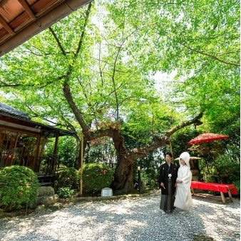 結婚式場：当館人気NO.1★最大7大特典「和の異人館」貸切ウェディング体感
