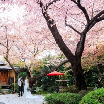 北野異人館 旧ハンター邸:【2027年4月～5月｜50名283万円】麗らかな春婚プラン＜最大27.5万円特典＞