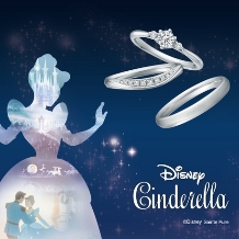 TAKEUCHI BRIDAL NAGOYA:【ディズニー/シンデレラ】You're my Princess