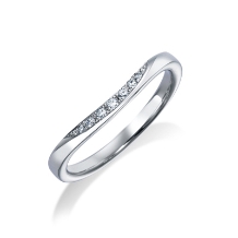 TAKEUCHI BRIDAL NAGOYA:【モニッケンダム】17WR36/17WR37