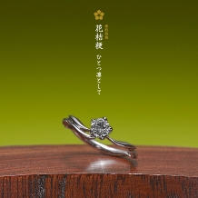 【萬時】花桔梗